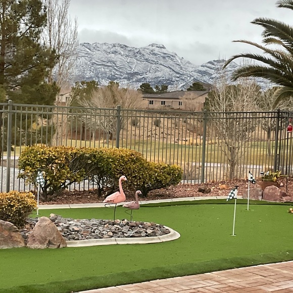 Meet your Posher, Debra - Picture 1 of 1